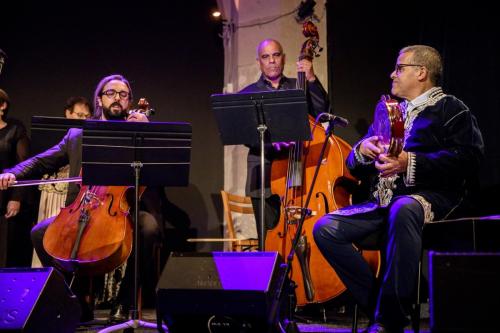 2024-11-15-Festival-International-des-Cordes-pincees-photo-Remi-Angeli-014-