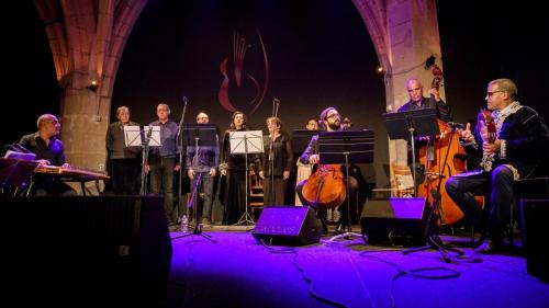 2024-11-15-Festival-International-des-Cordes-pincees-photo-Remi-Angeli-015-