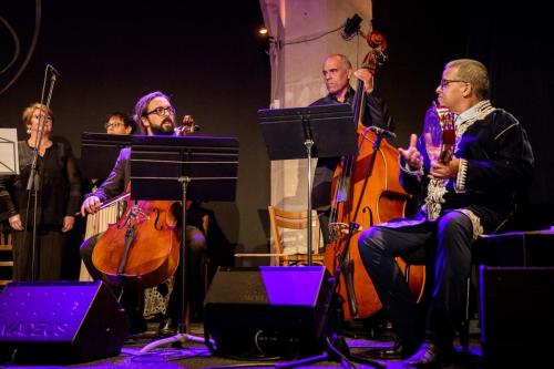 2024-11-15-Festival-International-des-Cordes-pincees-photo-Remi-Angeli-023-