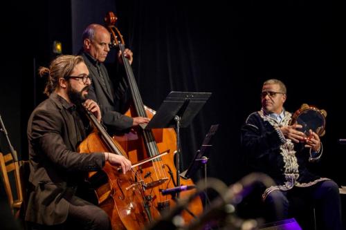 2024-11-15-Festival-International-des-Cordes-pincees-photo-Remi-Angeli-031-