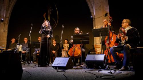 2024-11-15-Festival-International-des-Cordes-pincees-photo-Remi-Angeli-070-