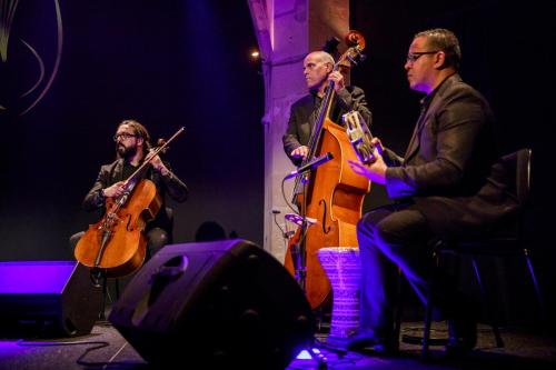 2024-11-16-Festival-International-des-Cordes-pincees-photo-Remi-Angeli-013-