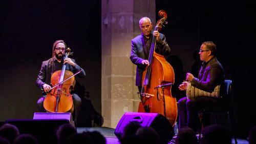 2024-11-16-Festival-International-des-Cordes-pincees-photo-Remi-Angeli-037-