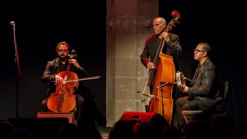 2024-11-16-Festival-International-des-Cordes-pincees-photo-Remi-Angeli-055-