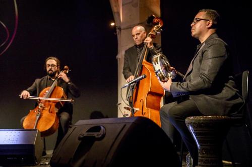 2024-11-17-Festival-International-des-Cordes-pincees-photo-Remi-Angeli-011-