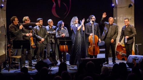 2024-11-17-Festival-International-des-Cordes-pincees-photo-Remi-Angeli-093-