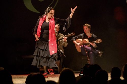 2026-03-21-Festival-Les-Andalousies-photo-Remi-Angeli-041-