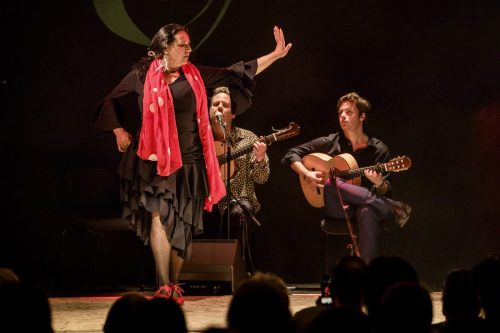 2026-03-21-Festival-Les-Andalousies-photo-Remi-Angeli-042-