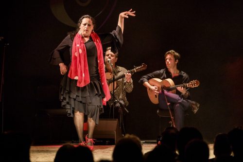 2026-03-21-Festival-Les-Andalousies-photo-Remi-Angeli-043-