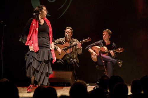 2026-03-21-Festival-Les-Andalousies-photo-Remi-Angeli-044-