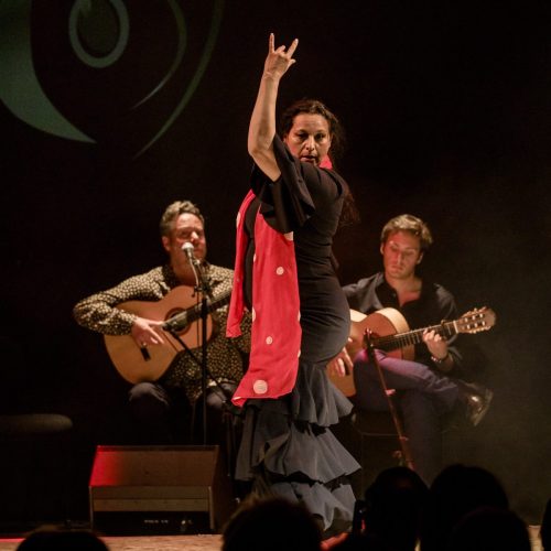 2026-03-21-Festival-Les-Andalousies-photo-Remi-Angeli-046-