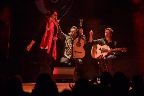 2026-03-21-Festival-Les-Andalousies-photo-Remi-Angeli-053-