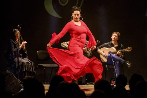 2026-03-21-Festival-Les-Andalousies-photo-Remi-Angeli-059-