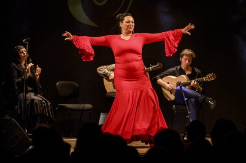 2026-03-21-Festival-Les-Andalousies-photo-Remi-Angeli-063-