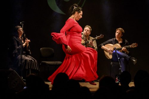 2026-03-21-Festival-Les-Andalousies-photo-Remi-Angeli-065-