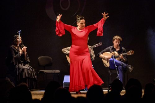 2026-03-21-Festival-Les-Andalousies-photo-Remi-Angeli-068-