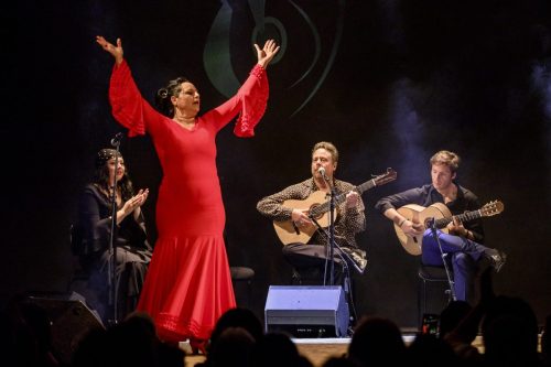 2026-03-21-Festival-Les-Andalousies-photo-Remi-Angeli-074-