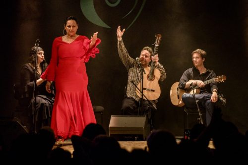 2026-03-21-Festival-Les-Andalousies-photo-Remi-Angeli-077-