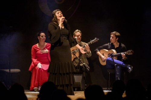 2026-03-21-Festival-Les-Andalousies-photo-Remi-Angeli-079-