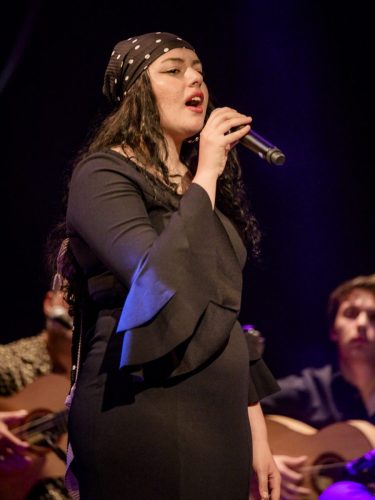 2026-03-21-Festival-Les-Andalousies-photo-Remi-Angeli-081-