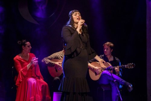 2026-03-21-Festival-Les-Andalousies-photo-Remi-Angeli-083-