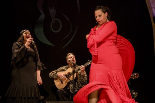 2026-03-21-Festival-Les-Andalousies-photo-Remi-Angeli-099-