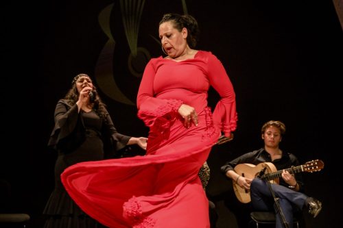 2026-03-21-Festival-Les-Andalousies-photo-Remi-Angeli-100-